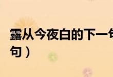露從今夜白的下一句詩(shī)句（露從今夜白的下一句）