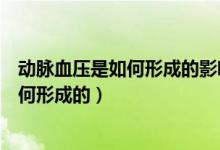 動脈血壓是如何形成的影響動脈血壓的因素（動脈血壓是如何形成的）
