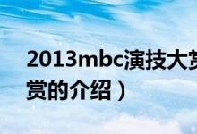 2013mbc演技大賞（關于2013mbc演技大賞的介紹）