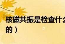 核磁共振是檢查什么的（核磁共振是檢查什么的）