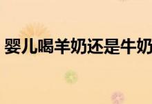嬰兒喝羊奶還是牛奶好（羊奶好還是牛奶好）