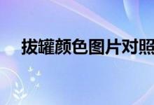 拔罐顏色圖片對(duì)照表（拔罐顏色分析圖）