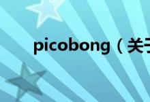 picobong（關(guān)于picobong的介紹）
