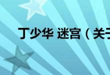 丁少華 迷宮（關于丁少華 迷宮的介紹）