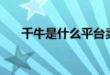 千牛是什么平臺(tái)賣(mài)家版（千牛是什么）