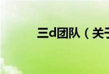 三d團(tuán)隊(duì)（關(guān)于三d團(tuán)隊(duì)的介紹）