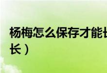 楊梅怎么保存才能長時(shí)間（楊梅怎么保存時(shí)間長）