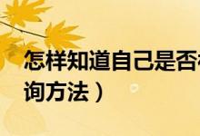 怎樣知道自己是否被錄取（2022錄取狀態(tài)查詢方法）