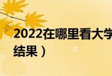 2022在哪里看大學錄取情況（怎么查詢錄取結果）