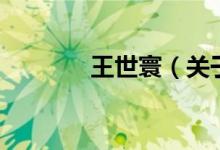 王世寰（關于王世寰的介紹）