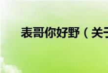 表哥你好野（關于表哥你好野的介紹）
