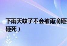 下雨天蚊子不會(huì)被雨滴砸死的原因（下雨天蚊子不會(huì)被雨滴砸死）