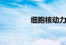 細(xì)胞核動力功效（細(xì)胞核）