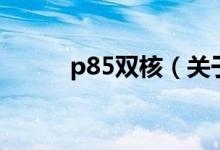 p85雙核（關于p85雙核的介紹）