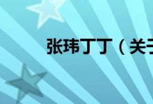 張瑋丁?。P于張瑋丁丁的介紹）