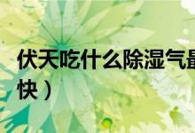 伏天吃什么除濕氣最快（伏天吃什么除濕氣最快）