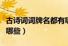 古詩(shī)詞詞牌名都有哪些（古詩(shī)詞里的詞牌名有哪些）