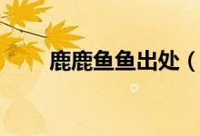 鹿鹿魚(yú)魚(yú)出處（鹿鹿魚(yú)魚(yú)什么意思）