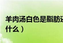 羊肉湯白色是脂肪還是蛋白質（羊肉湯白色是什么）