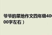 爺爺?shù)牟说刈魑乃哪昙?jí)400字左右（爺爺?shù)牟说刈魑乃哪昙?jí)400字左右）