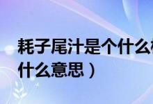 耗子尾汁是個(gè)什么梗?（耗子尾汁是什么梗是什么意思）