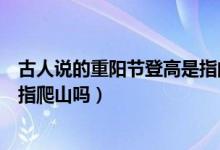 古人說(shuō)的重陽(yáng)節(jié)登高是指的爬高嗎(古人說(shuō)的重陽(yáng)節(jié)登高是指爬山嗎)