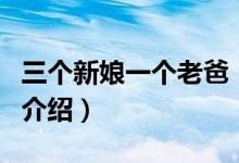 三個新娘一個老爸（關(guān)于三個新娘一個老爸的介紹）