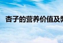 杏子的營(yíng)養(yǎng)價(jià)值及弊端（杏子的營(yíng)養(yǎng)價(jià)值）