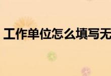 工作單位怎么填寫無(wú)業(yè)（工作單位怎么填寫）