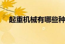 起重機(jī)械有哪些種類（起重機(jī)械有哪些）