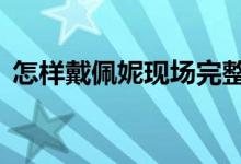 怎樣戴佩妮現(xiàn)場完整版（怎樣 戴佩妮 歌詞）