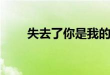 失去了你是我的錯(cuò)（失去了你歌詞）