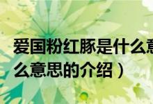 愛(ài)國(guó)粉紅豚是什么意思（關(guān)于愛(ài)國(guó)粉紅豚是什么意思的介紹）