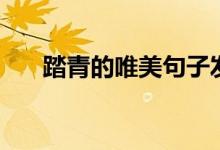 踏青的唯美句子發(fā)朋友圈（踏青說說）