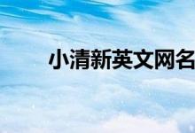 小清新英文網(wǎng)名(小清新英文網(wǎng)名)
