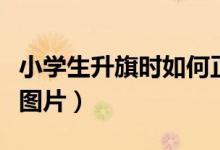 小學生升旗時如何正確敬禮（小學生正確敬禮圖片）