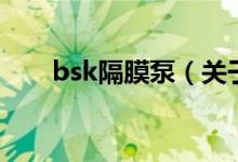 bsk隔膜泵（關于bsk隔膜泵的介紹）