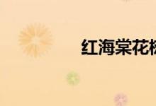 紅海棠花樹(shù)（紅海棠花）