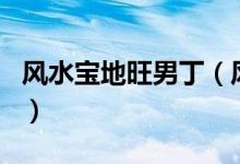 風水寶地旺男?。L水寶地出男丁是什么生肖）