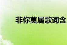 非你莫屬歌詞含義（非你莫屬 歌詞）