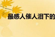 最感人催人淚下的歌曲（最感人一句話(huà)）