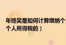 年終獎是如何計算繳納個人所得稅（年終獎是如何計算繳納個人所得稅的）