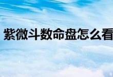紫微斗數(shù)命盤(pán)怎么看（紫微斗數(shù)排盤(pán)怎么看）