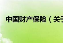 中國財產(chǎn)保險（關(guān)于中國財產(chǎn)保險的介紹）
