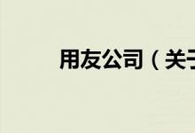 用友公司（關(guān)于用友公司的介紹）