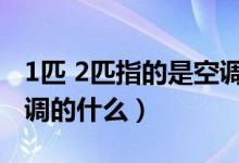 1匹 2匹指的是空調(diào)的什么（1匹2匹指的是空調(diào)的什么）