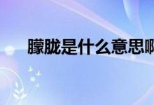 朦朧是什么意思?。╩l是什么意思?。?class=