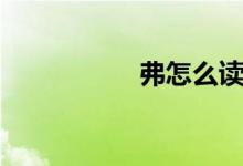 弗怎么讀（弗怎么讀）