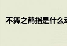 不舞之鶴指是什么動物（不舞之鶴的寓意）