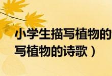 小學生描寫植物的詩歌簡短10句（小學生描寫植物的詩歌）